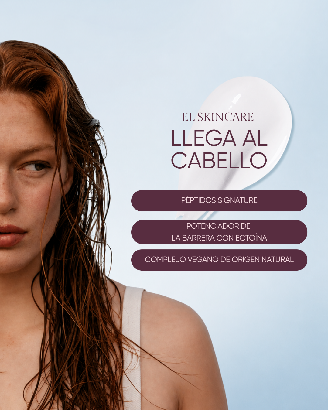 baner categoria web nak 24
