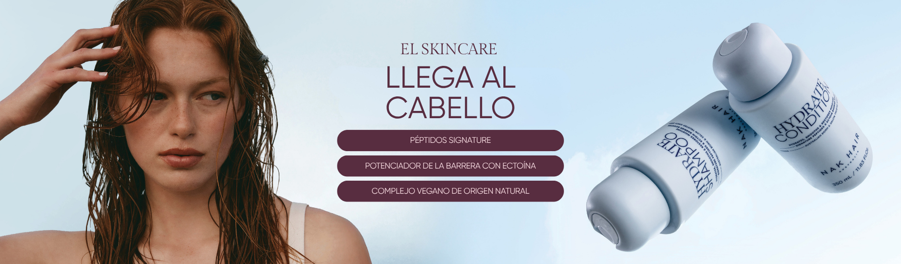 baner categoria web nak 25