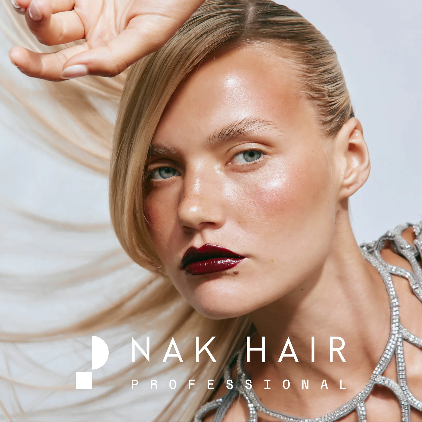 Brand Image 01 NAK PRO